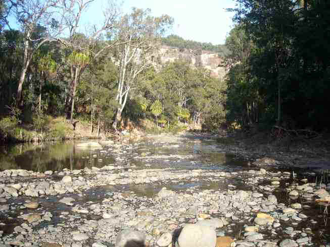 2010_07_16a_carnarvon_gorge_start.jpg (75182 bytes)