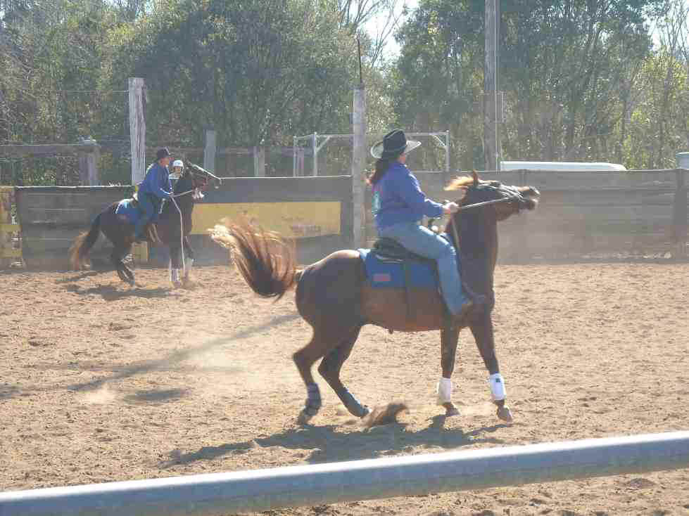 2010_08_08b_gympie_horse_gymkana_1803_sml.jpg (91483 bytes)