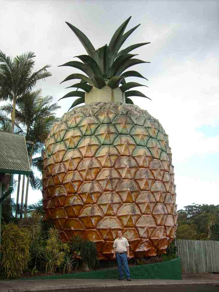 2010_08_09o_big_pineapple_gaz_1945_sml.jpg (90803 bytes)